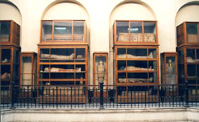 museum